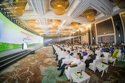 2024四川自貢榮縣國際陶茶文化藝術活動周開幕，共促文化交流與產業發展